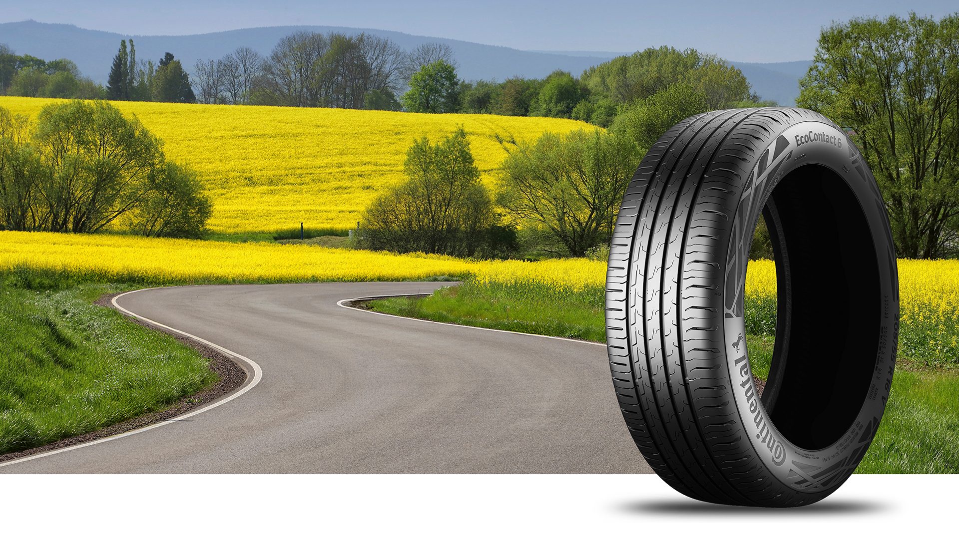 Foto estiva con pneumatici Continental